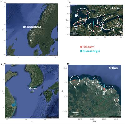 Assessments of epidemic spread in aquaculture: comparing different scenarios of infectious bacteria incursion through spatiotemporal hybrid modeling